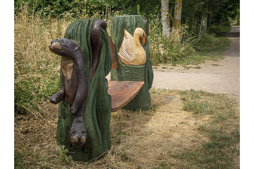 Photograph of a wooden bench with wildlife carved into it, located beside a nature walk